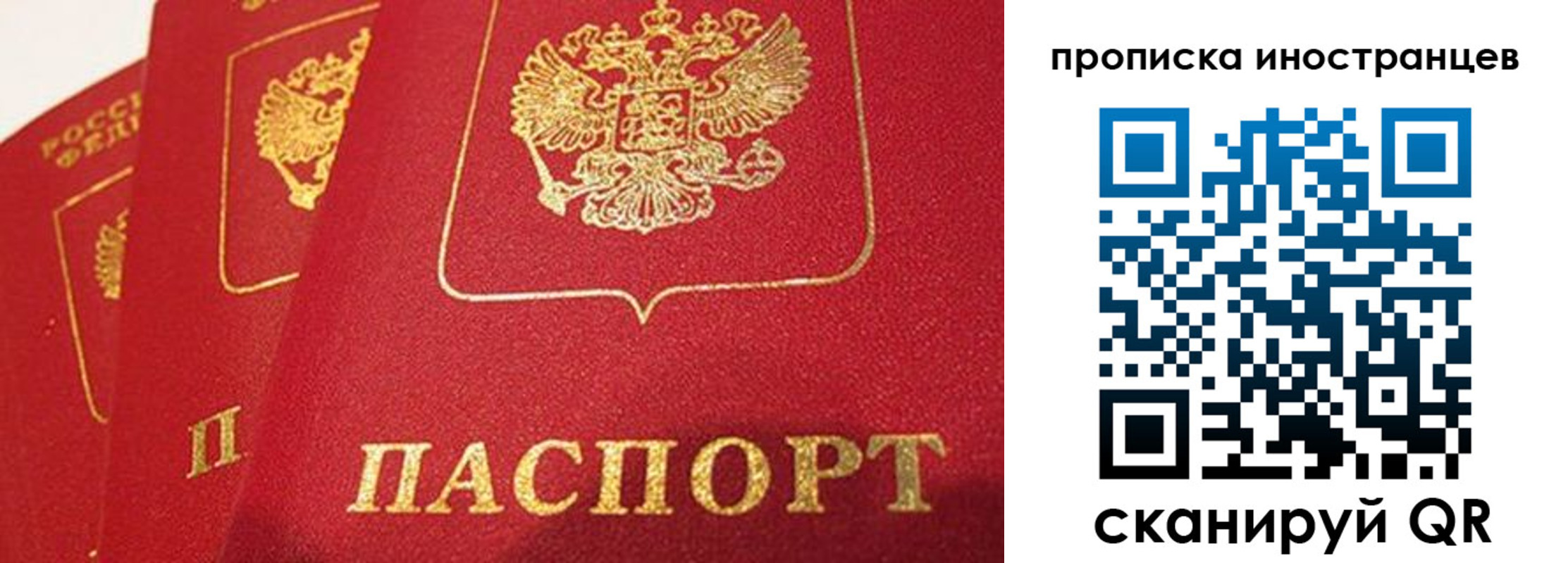 прописка поиск в Суздали